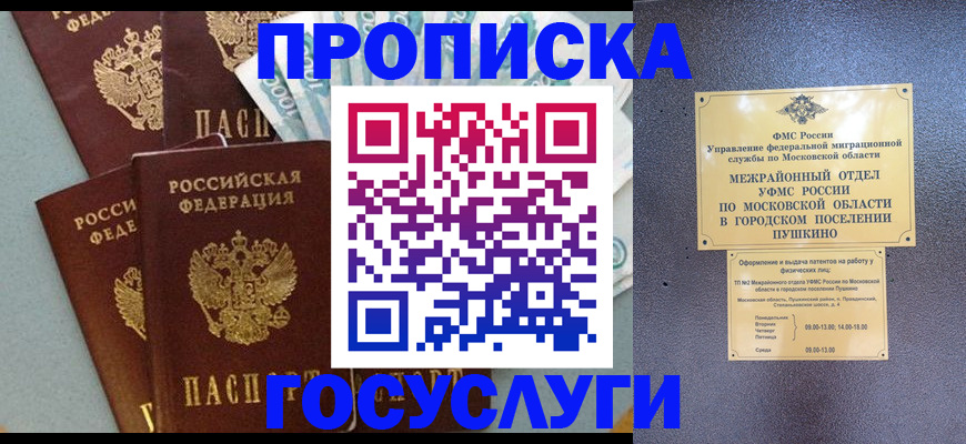 прописка гарантия в Кандалакше